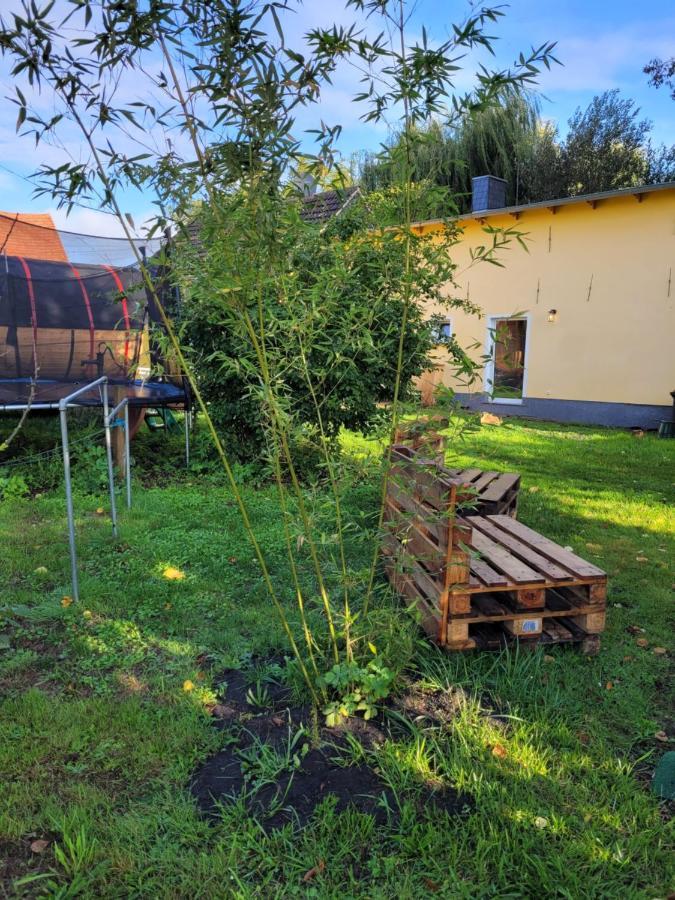Haus Evelynchen Apartment 1 Deutschhof Fehrbellin Buitenkant foto